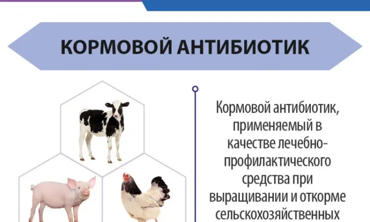 Біовіт Л-80 - Антибіотик для тварин і птиці - фото № 3