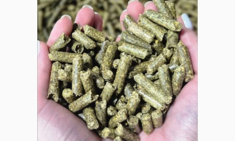 Гранульована люцерна - фото № 1