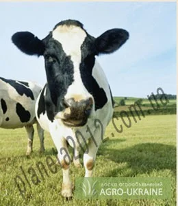 Литосил-закваска для силосования купить - фото № 1