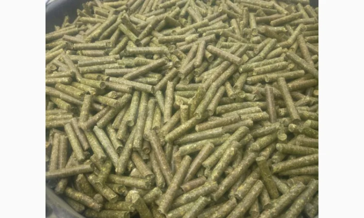 Гранулированная люцерна, люцерна в пеллетах, гранулированный корм, кормовая гранула - фото № 1