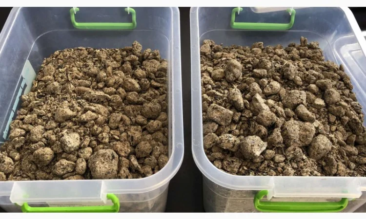 Продам макуху-шрот соняшниковий - фото № 1