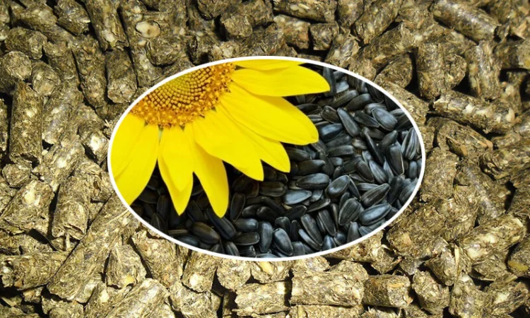 Продам шрот, макуху - фото № 5