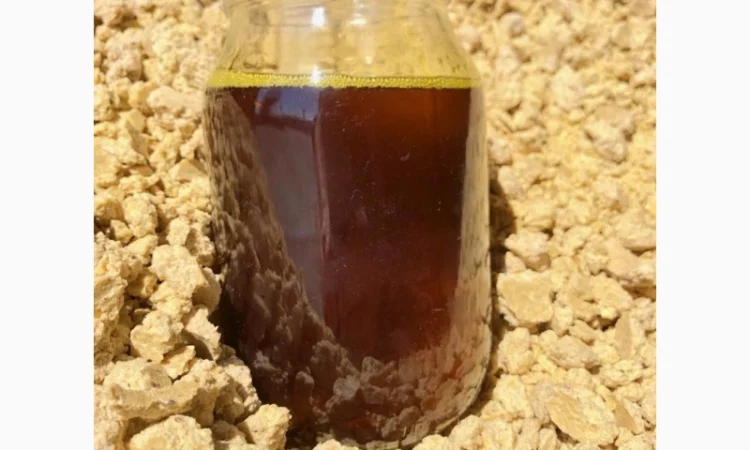 Продам кормовую протеиновую добавку - фото № 1