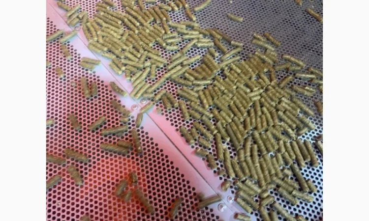 Люцерна в гранулах - фото № 4