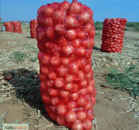 Овощные сетки от импортера - фото № 2