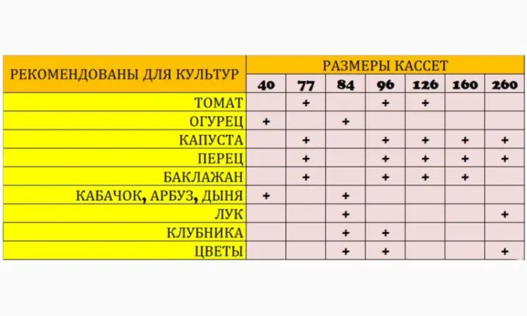 Пинетки лоток судок стаканчик упаковка для ягод Клубники Малины Смородины Овощей Фруктов - фото № 13