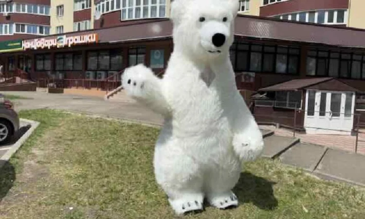 Ведмідь костюм - фото № 4