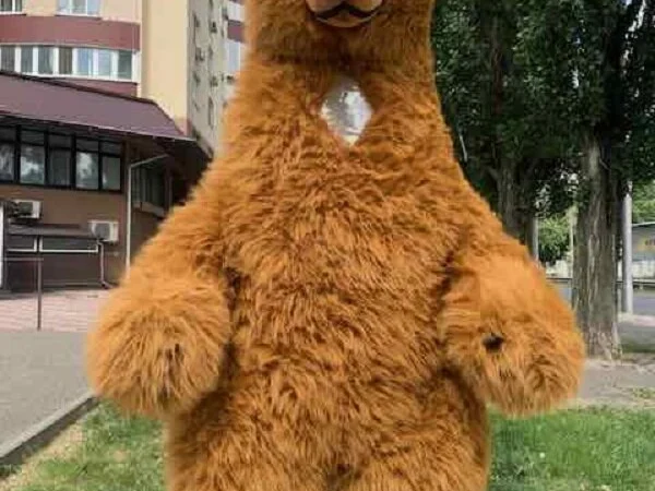 Костюм аніматору - фото № 4