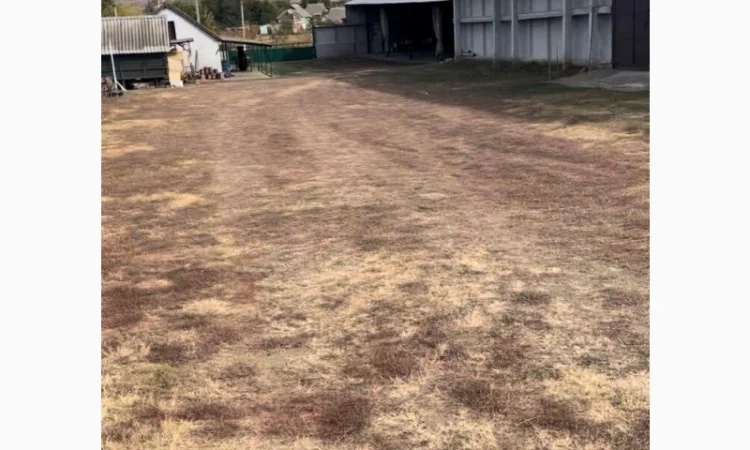 Продається складське приміщення з ділянкою в Одеській області - фото № 4