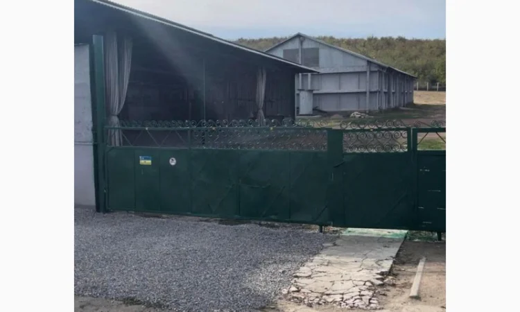 Продається складське приміщення з ділянкою в Одеській області - фото № 8