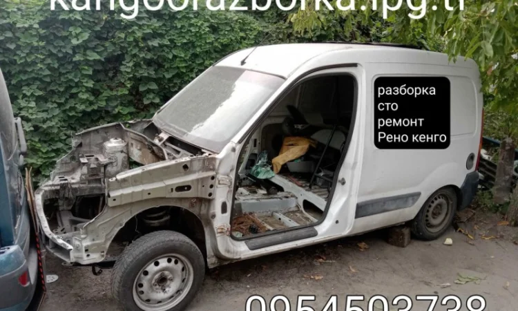 Рено Кангу ремонт СТО запчасти - фото № 1