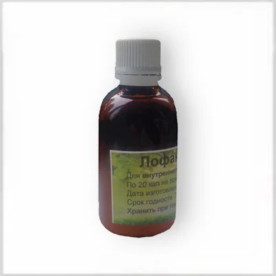 Женьшень Северный - фото № 1