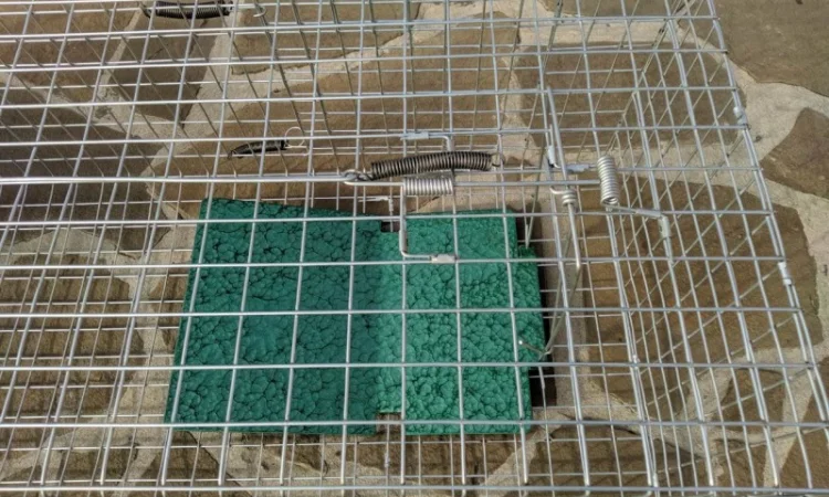 Метрова котоловка з педаллю – надійний пристрій для відлову котів - фото № 3