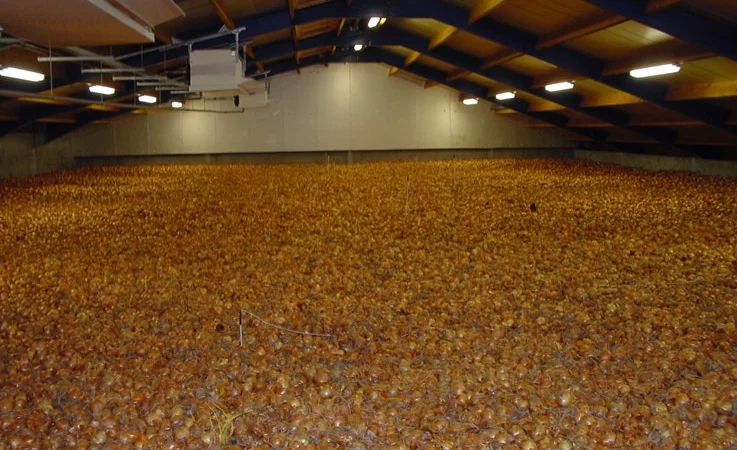 Система навального хранения лука - фото № 2