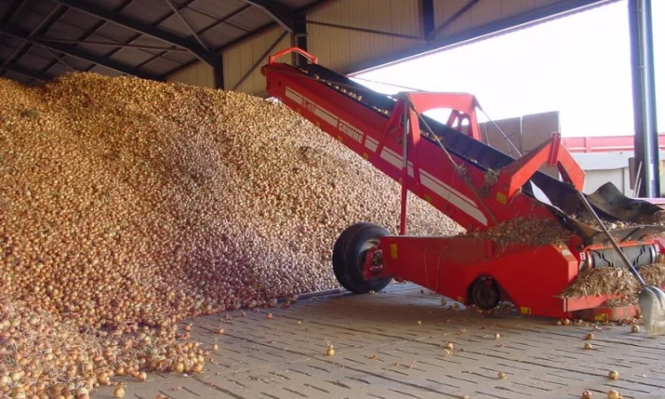 Система навального хранения лука - фото № 3