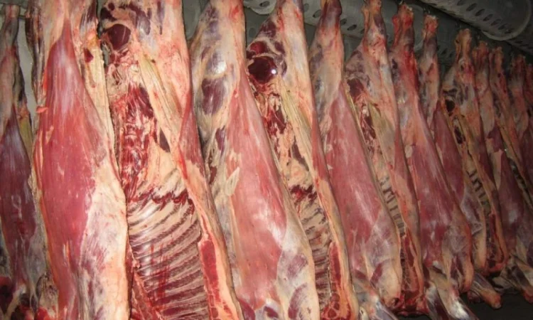 Свіжий Врх і Свинина в пів тушках - фото № 1