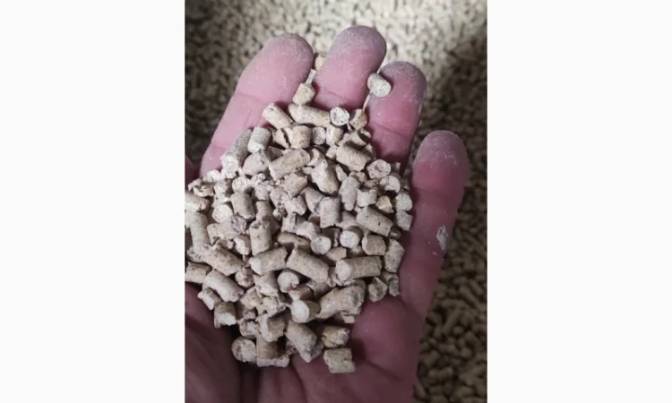 Наполнитель для котов - фото № 2