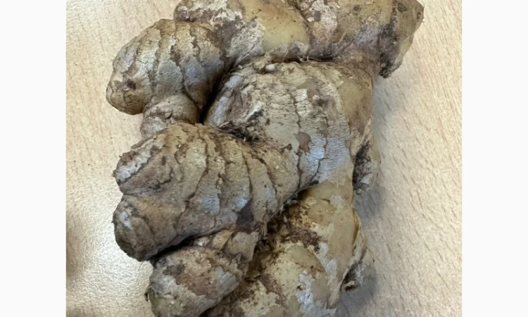 Імбир свіжий - фото № 1