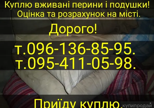 Приедем и купим б/у перья и свежее утиное гусиное - фото № 1