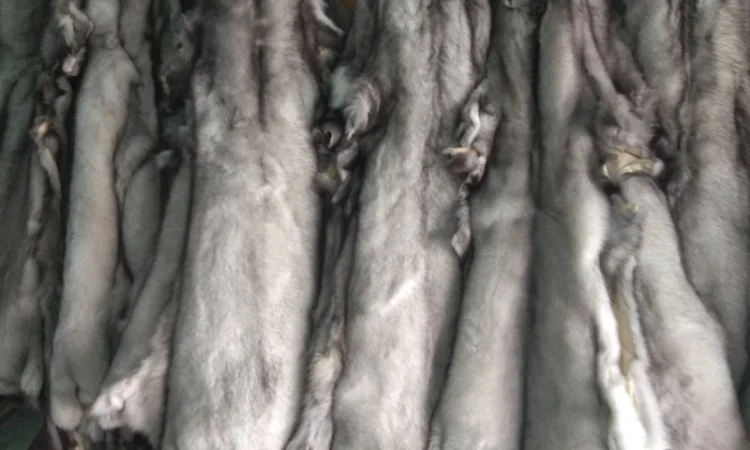 Продажа шкурок финского песца - фото № 1