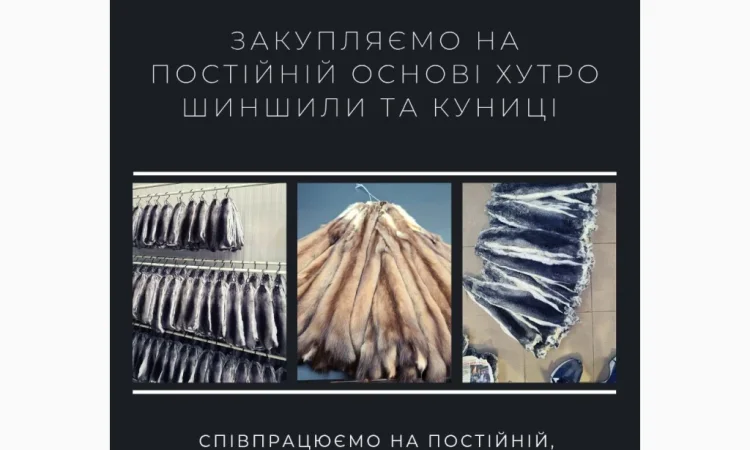 Куплю хутро куницы высокого качества - фото № 1