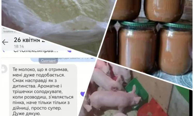 Сухе молоко 26% - фото № 1