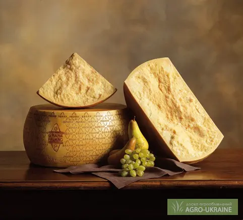 Итальянский сыр Grana Padano - фото № 1