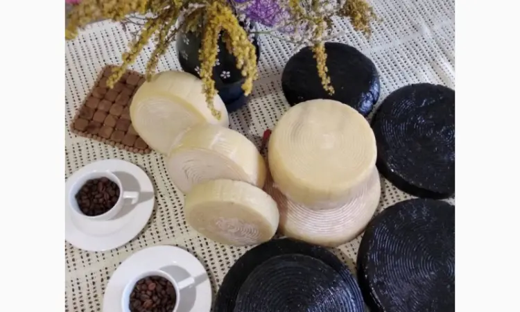 Продам козье молоко и сыры из козьего молока - фото № 5