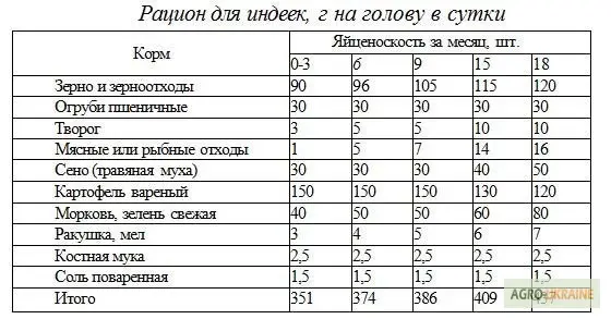 Индюшата Хайбрид Грейд Мейкер (Канада) от производителя - фото № 2