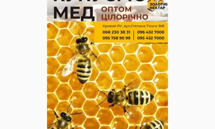 Покупаем мед оптом - фото № 1
