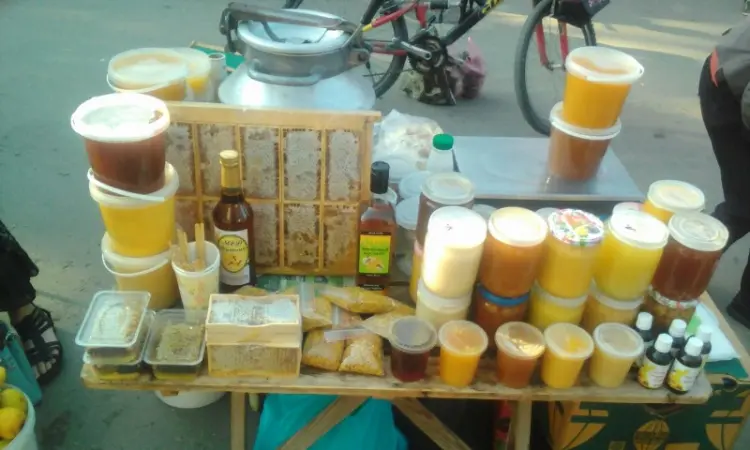 Продам мед оптом и в розницу - фото № 1