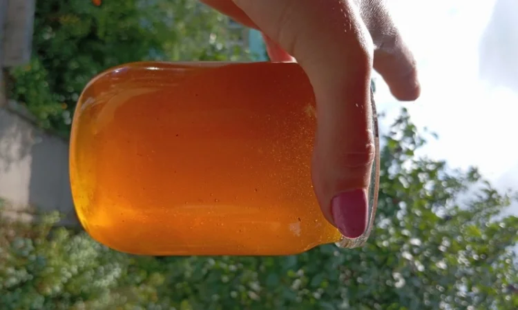 Пропонується мед з власної пасіки 2025 року, акацієвий - фото № 9