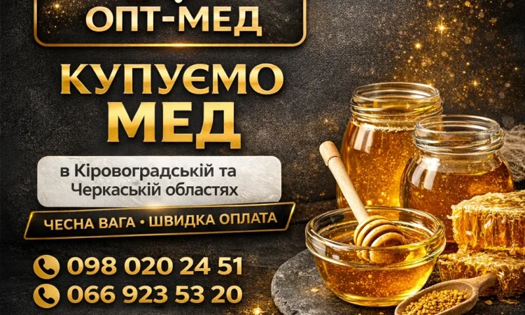 Закупаем мед оптом в центральных областях - фото № 1