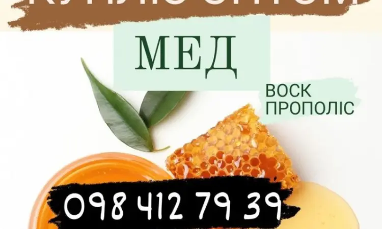 Куплю мёд оптом - фото № 1