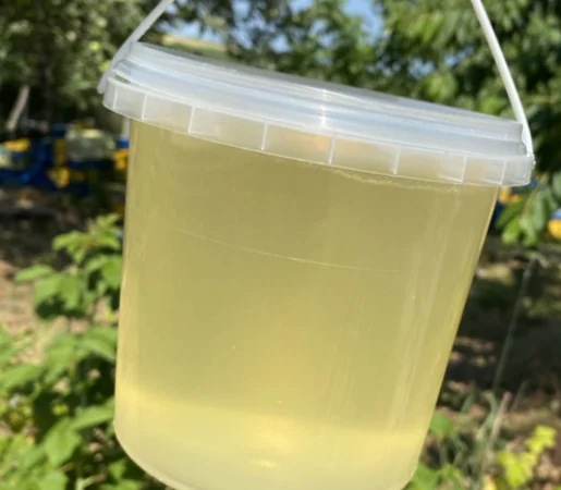 Купую мед оптом - фото № 1