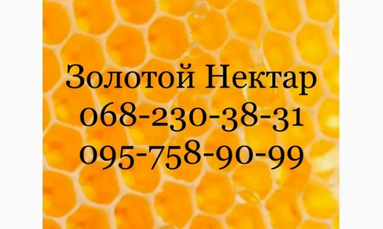 Закупка меда по Днепропетровской и Херсонской обл - фото № 1