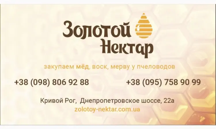 Закупка Рапсового и Подсолнечного меда без антибитотиков - фото № 1