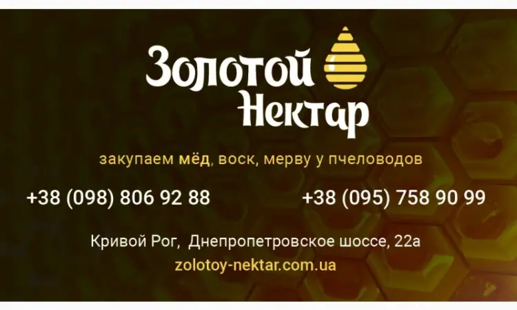 Куплю мёд оптом - фото № 1