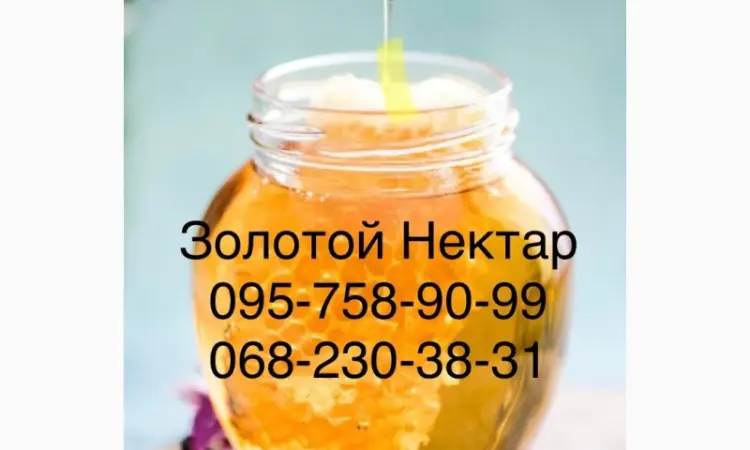 Закупаем Рапсовый Мёд - фото № 1