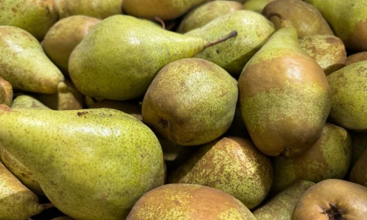 Продам Грушу - фото № 3