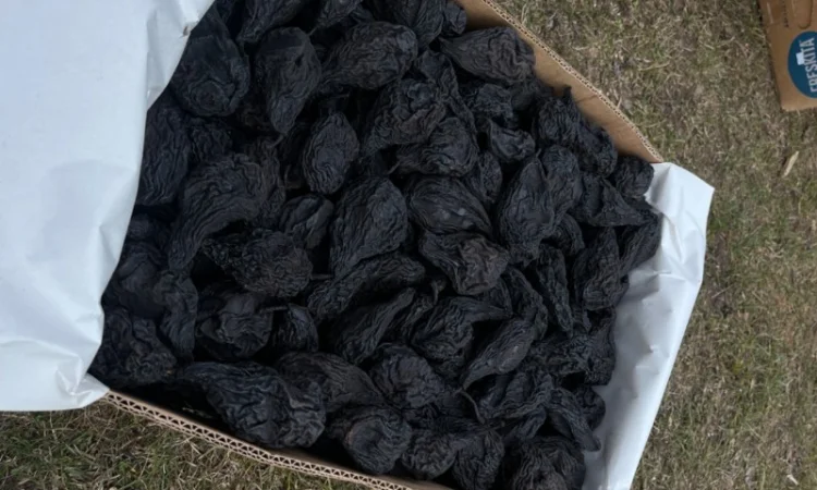 Продам груші сушені, сорт Ноябирська - фото № 1