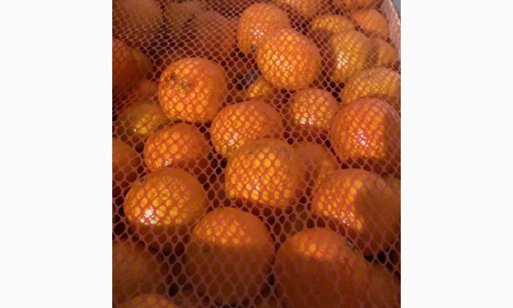 Мандарины испания опт - фото № 1