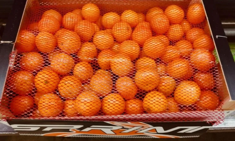 Мандарины испания опт - фото № 2