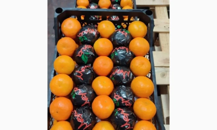 Мандарин NOVA - фото № 1