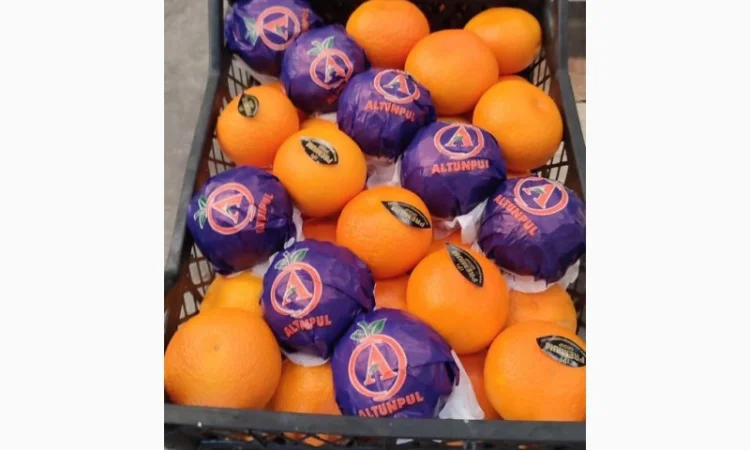 Мандарин Dobeshi - фото № 1