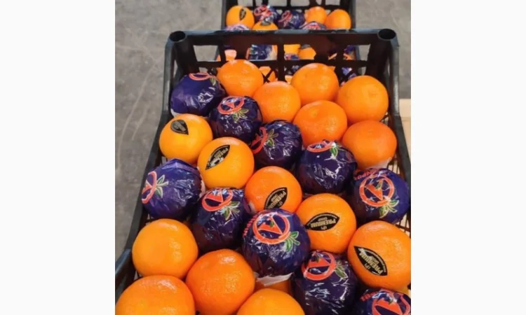 Мандарин Dobeshi - фото № 2