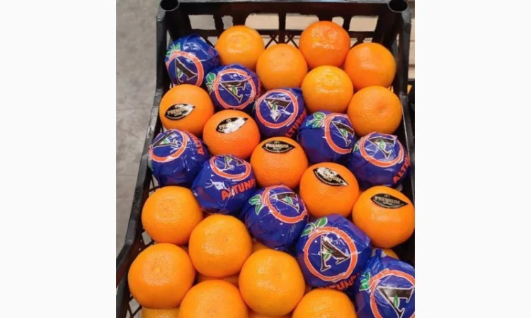 Мандарин Satsuma - фото № 1