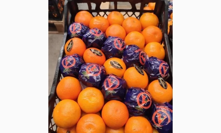 Мандарин MURKOT - фото № 1