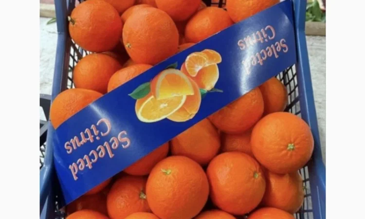 Продам Мандарины оптом по цене 36грн кг - от 5 тонн без брака доставка - фото № 2