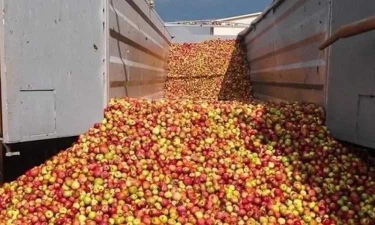Куплю яблука оптом (некондицію) на переробку (сік, повидло) від населення Харків - фото № 1